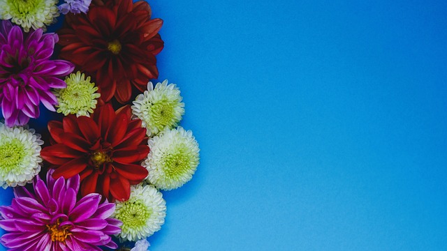 科爾稱贊庫裏為歷史最偉大的球員之一與最具觀賞性的球員之一.