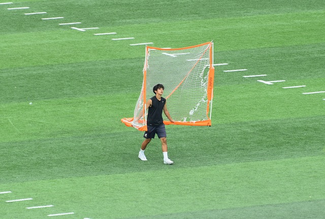 哈里森的淡 哈里森的淡