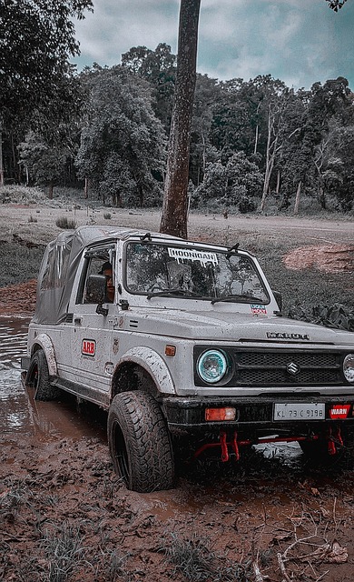 刚崭露头角 刚崭露头角