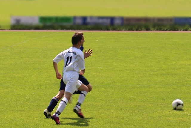 埋下了伏笔 埋下了伏笔